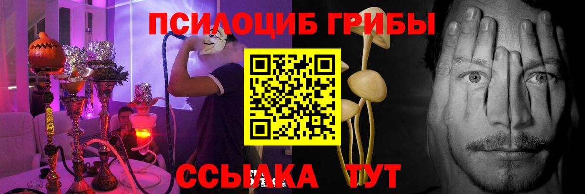 дарнет шоп  Вход с VPN  Верхний Уфалей  Галлюциногенные грибы прущие грибы 
